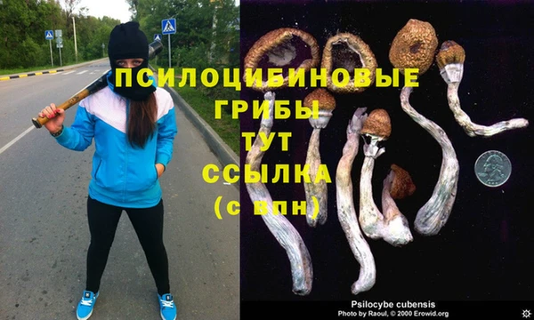 не бодяженный Арсеньев