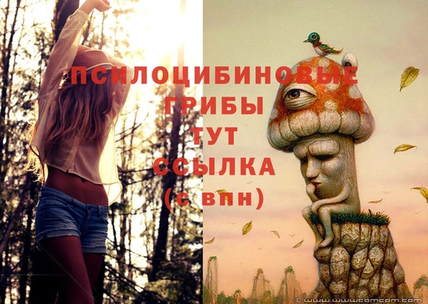 не бодяженный Арсеньев