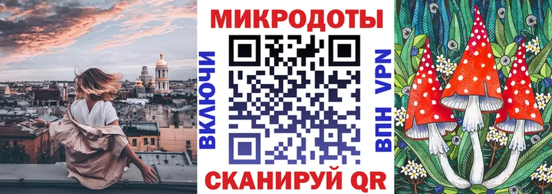 Галлюциногенные грибы Psilocybine cubensis  Окуловка 